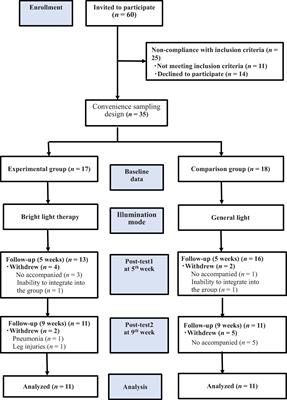 Pilot Study of the Effects of Bright Ambient Therapy on Dementia Symptoms and Cognitive Function